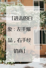 进击的白象：左手爆品，右手经销商