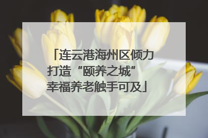 连云港海州区倾力打造“颐养之城” 幸福养老触手可及