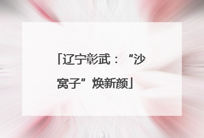 辽宁彰武：“沙窝子”焕新颜
