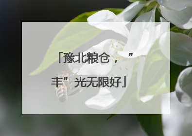 豫北粮仓，“丰”光无限好