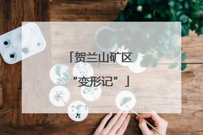 贺兰山矿区“变形记”