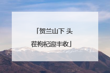 贺兰山下 头茬枸杞迎丰收