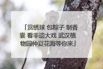 赏绣球 包粽子 制香囊 看非遗大戏 武汉植物园仲夏花海等你来