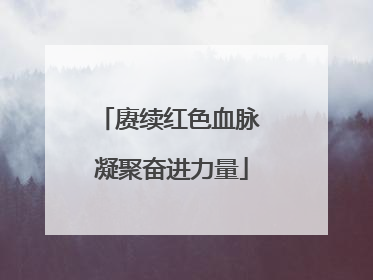 赓续红色血脉 凝聚奋进力量
