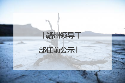 赣州领导干部任前公示
