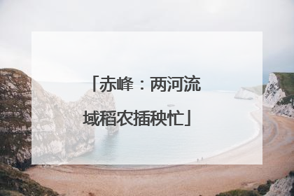 赤峰：两河流域稻农插秧忙