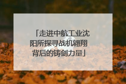 走进中航工业沈阳所探寻战机翱翔背后的铸剑力量