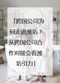 跨国公司为何走进潍坊？从跨国公司合作对接会看潍坊引力