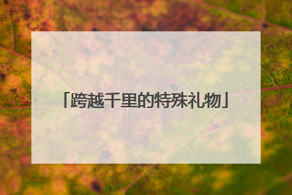 跨越千里的特殊礼物