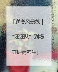 送考风景线｜“汪汪队”到场守护高考生