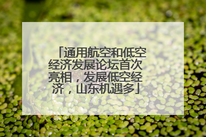 通用航空和低空经济发展论坛首次亮相，发展低空经济，山东机遇多