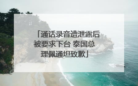 通话录音遭泄露后被要求下台 泰国总理佩通坦致歉