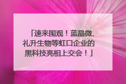 速来围观！蓝晶微、礼升生物等虹口企业的黑科技亮相上交会！