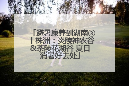 避暑康养到湖南③丨株洲：炎陵神农谷&茶陵花湖谷 夏日消暑好去处