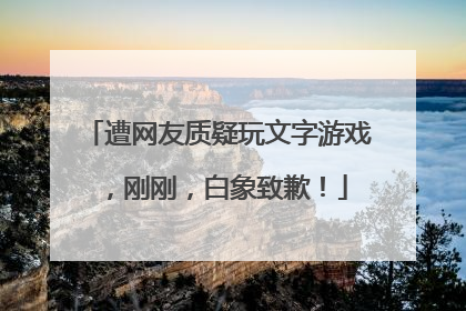 遭网友质疑玩文字游戏，刚刚，白象致歉！