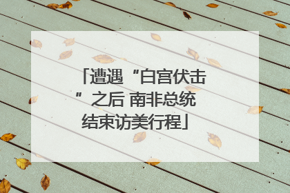 遭遇“白宫伏击”之后 南非总统结束访美行程