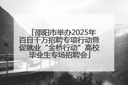 邵阳市举办2025年百日千万招聘专项行动暨促就业“金桥行动”高校毕业生专场招聘会