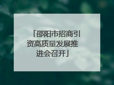 邵阳市招商引资高质量发展推进会召开