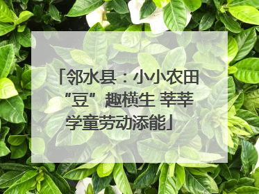 邻水县：小小农田“豆”趣横生 莘莘学童劳动添能