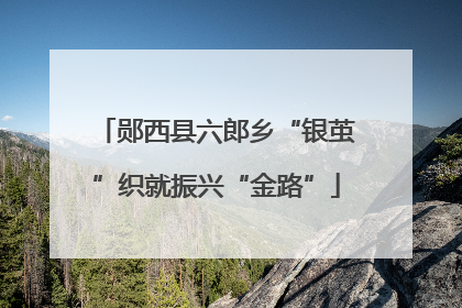 郧西县六郎乡“银茧”织就振兴“金路”