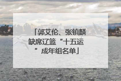郭艾伦、张镇麟缺席辽篮“十五运”成年组名单