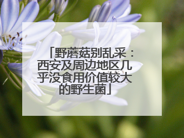 野蘑菇别乱采：西安及周边地区几乎没食用价值较大的野生菌