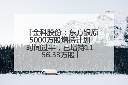 金科股份：东方银原5000万股增持计划时间过半，已增持1156.33万股