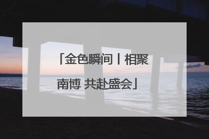 金色瞬间丨相聚南博 共赴盛会