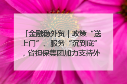 金融稳外贸｜政策“送上门”、服务“沉到底”，省担保集团加力支持外经贸高质量发展