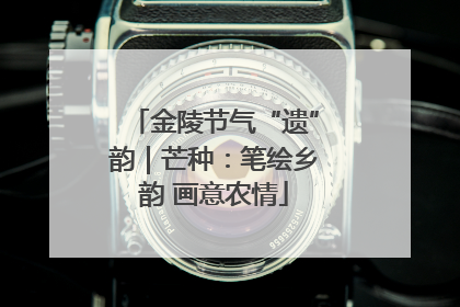 金陵节气“遗”韵｜芒种：笔绘乡韵 画意农情