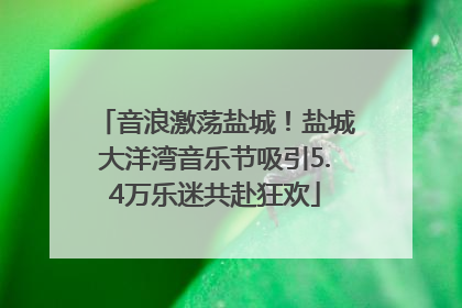 音浪激荡盐城！盐城大洋湾音乐节吸引5.4万乐迷共赴狂欢