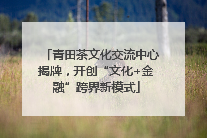 青田茶文化交流中心揭牌，开创“文化+金融”跨界新模式