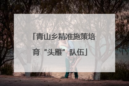 青山乡精准施策培育“头雁”队伍