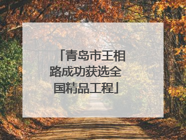 青岛市王相路成功获选全国精品工程