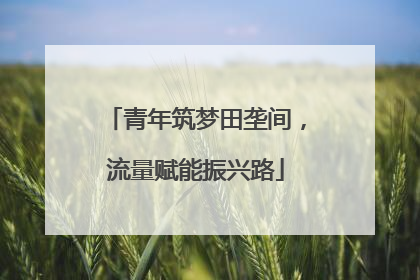 青年筑梦田垄间，流量赋能振兴路