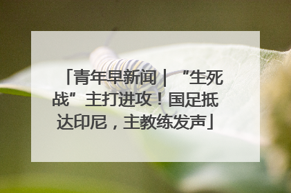 青年早新闻｜“生死战”主打进攻！国足抵达印尼，主教练发声