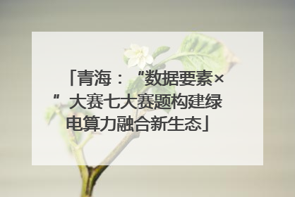 青海：“数据要素×”大赛七大赛题构建绿电算力融合新生态