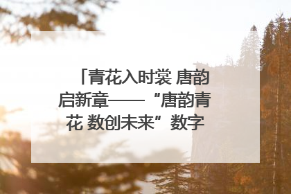 青花入时裳 唐韵启新章——“唐韵青花 数创未来”数字文创设计大赛启幕