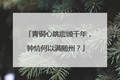 青铜心跳震颤千年，钟情何以满随州？