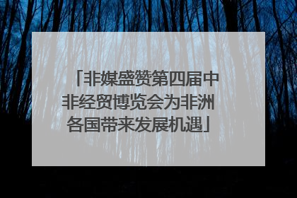 非媒盛赞第四届中非经贸博览会为非洲各国带来发展机遇