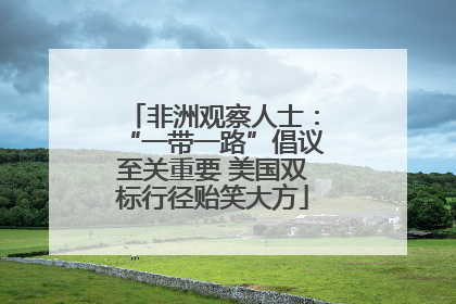 非洲观察人士：“一带一路”倡议至关重要 美国双标行径贻笑大方