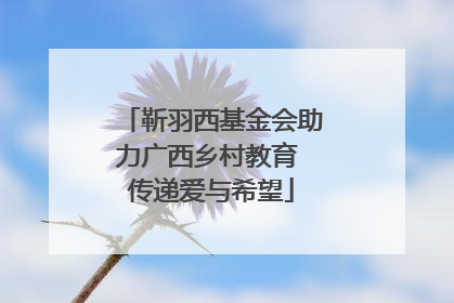 靳羽西基金会助力广西乡村教育 传递爱与希望
