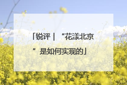 锐评｜“花漾北京”是如何实现的