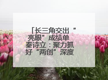 长三角交出“亮眼”成绩单 秦诗立：聚力抓好“两创”深度融合这个棋眼