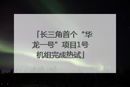 长三角首个“华龙一号”项目1号机组完成热试