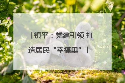 镇平：党建引领 打造居民“幸福里”