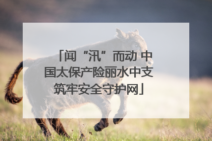 闻“汛”而动 中国太保产险丽水中支筑牢安全守护网