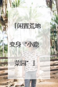 闲置荒地变身“小鹿菜园”