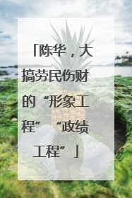 陈华，大搞劳民伤财的“形象工程”“政绩工程”