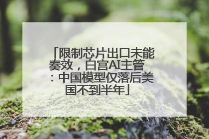 限制芯片出口未能奏效，白宫AI主管：中国模型仅落后美国不到半年